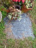 image of grave number 147869